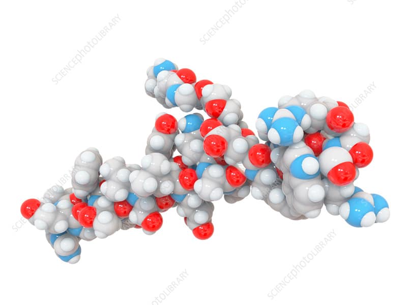 Inside Ozempic: What Really Happens to Appetite, Digestion & Blood Sugar — how Ozempic affects appetite, digestion, and blood sugar