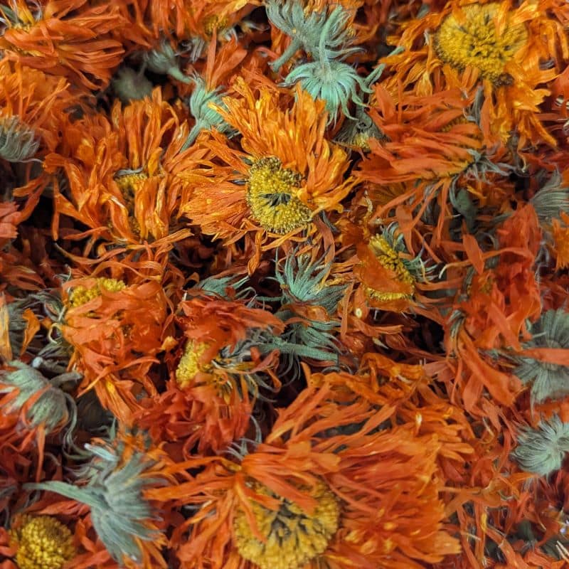 Calendula’s Gentle Touch: Simple Herbal Care for Radiant Skin — calendula flower benefits
